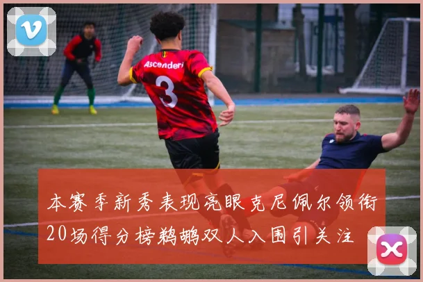 本赛季新秀表现亮眼克尼佩尔领衔20场得分榜鹈鹕双人入围引关注