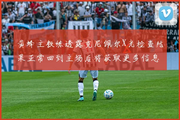 黄蜂主教练透露克尼佩尔X光检查结果正常回到主场后将获取更多信息